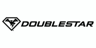 doublestar logo